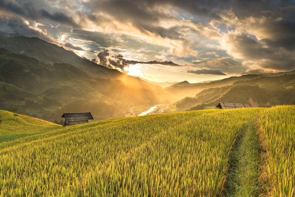 Capture of a serene mountain valley at sunrise with lush rice paddies and rustic huts.