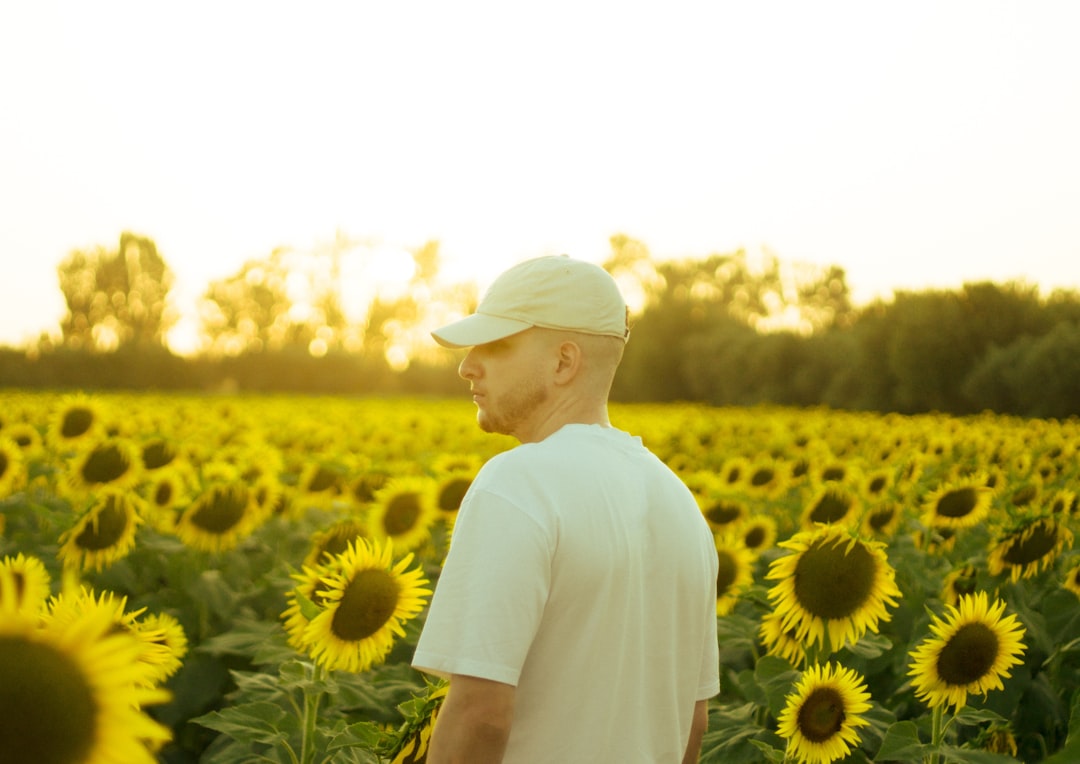 Man in a sunflower field at sunset